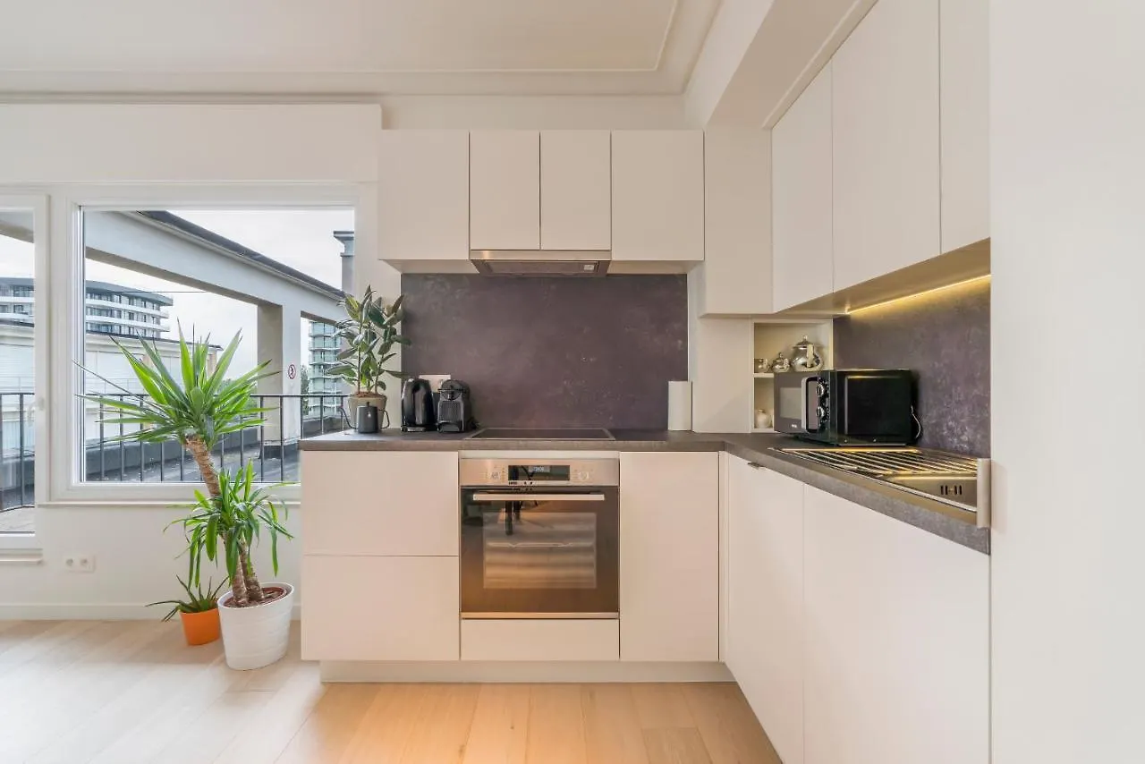 Apartment Ferienwohnung Modern And Bright Seaside App W Seaview & Terrace Ostende